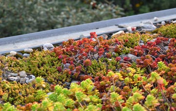 the cost of Woodmansterne green roof installation